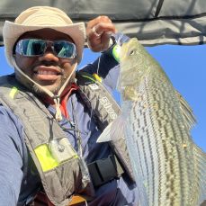 Nemo Charters – Weekday Trips