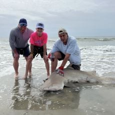 Steven Dziatczak profile photo