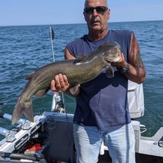 Chip Bronston profile photo