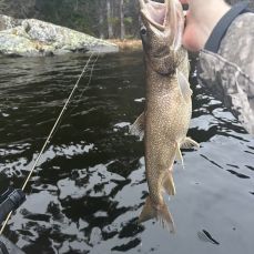 TEN POINT Guide Service  profile photo