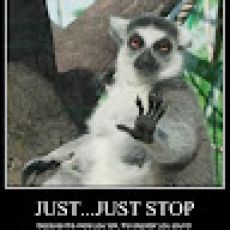 Show Up & Fish Charters