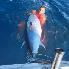 Dumboka Fishing profile photo