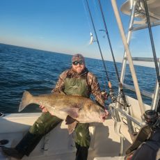 Daniel Ackerman profile photo