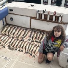 Richard Laponza profile photo