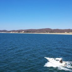 Tony Wolte profile photo