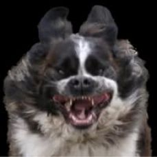 Lyla Rose Fishing Charters