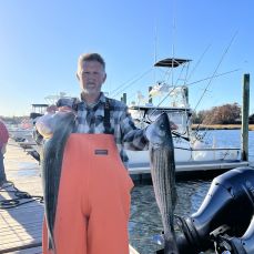 Dragan Ilic profile photo