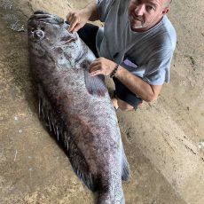 Flow Seru profile photo