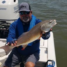 Mark Brady profile photo