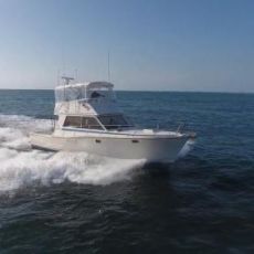 Kerim Hussainy profile photo