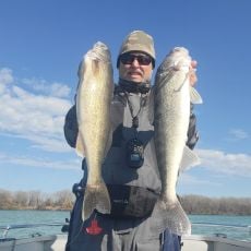 Shane Dietrich profile photo