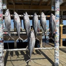 Clear Water Adventure Guide Service