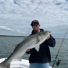 Kyle Steek profile photo