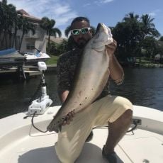 Adam Wojciechowski profile photo