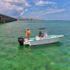 John Callion profile photo