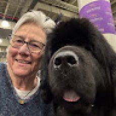 Captain Mike Smith Fishing Adventures