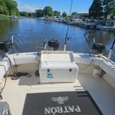 Todd Haven profile photo