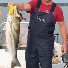 Mark Banister profile photo