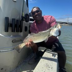 Gulf Coast King profile photo