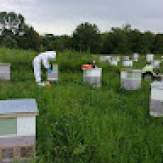 Jason Smith Twin Creeks Farms