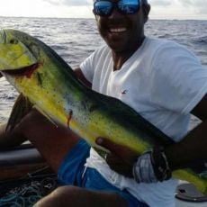 Reel Grill And Chill Belize profile photo