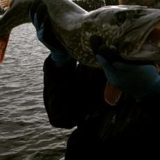 Alpha Royale – Dhebanveli Guesthouse