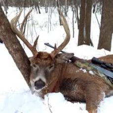 On The Hook Guide Fishing – Branson