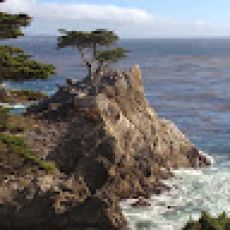 Barnard's Guide Service