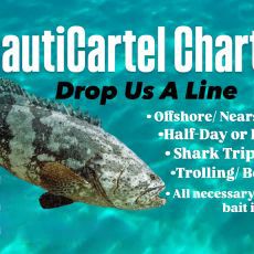 Darius Vargo profile photo