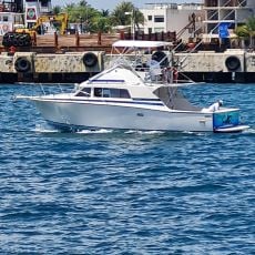 Family catcher  profile photo