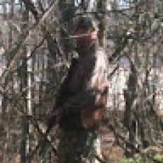 Hooked On Branson Fishing