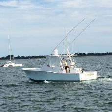 Rob Foley profile photo