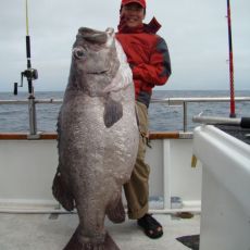 Andrew Gan profile photo