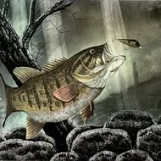 Lake Erie Bass Fishing with Capt Jonathan