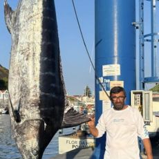 Carlos Linhares profile photo