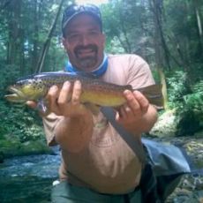 North Georgia Trout Fishing, LLC profile photo