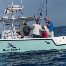 Jim Mulcahy profile photo