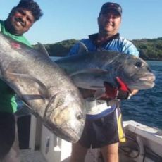 Sigatoka Fishing Charters  profile photo