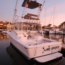 Roberto Marquez profile photo