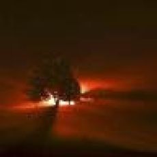 Steel Salty Charters