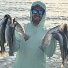 Tad Bridges profile photo