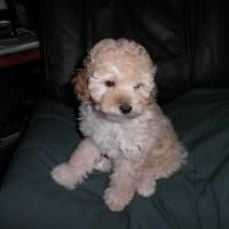 Fish On Fishing Charters