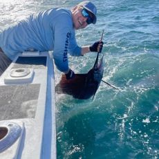 William Daley profile photo