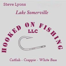 Steve Lyons profile photo