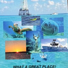 Blue Heaven Charter profile photo