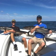 Greg Weaver profile photo