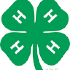 Top Predator Adventures