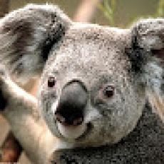 Finest Kind – Family Friendly