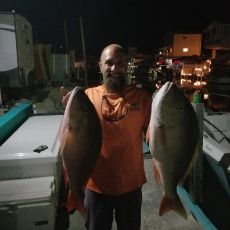 Anthony Hills profile photo