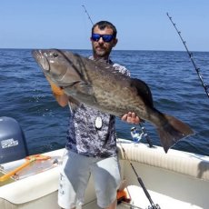 Circle hook charters  profile photo